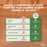 The Norwegian 4 Person Luxury Near Zero EMF Indoor Full Spectrum Infrared Sauna