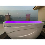 Dreampod Ice Bath Dreampod